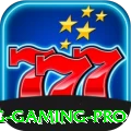 5ppg Gaming Pro